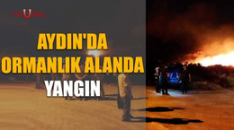 Aydın'da ormanlık alanda yangın